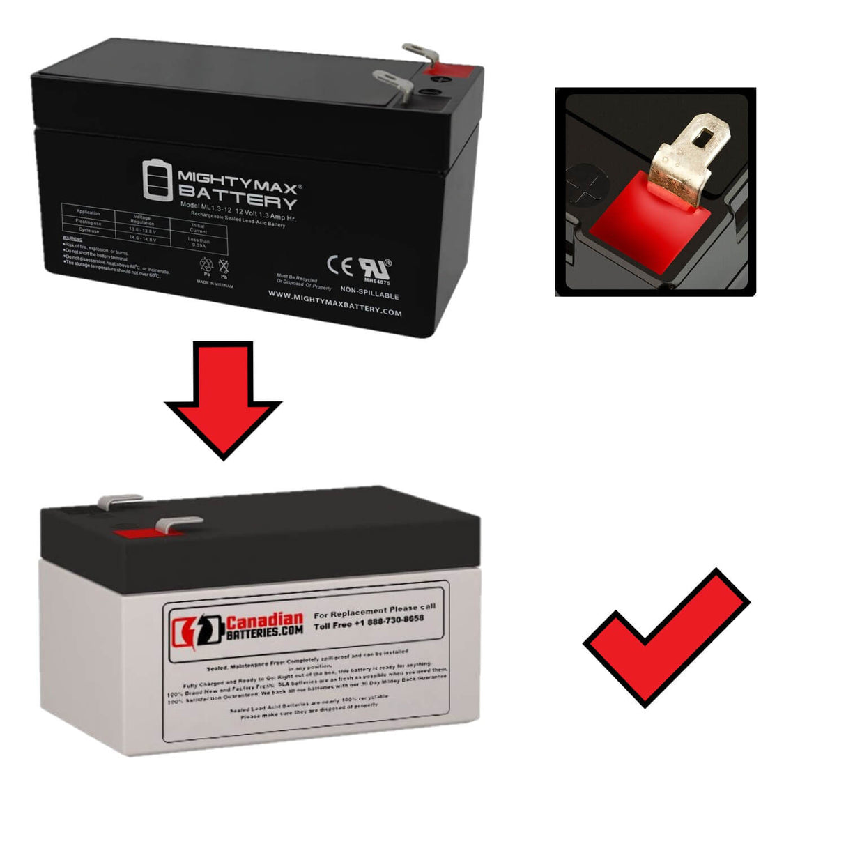 Batterie de remplacement 12V, 1.3Ah, pour Mighty Max Ml1.3-12 avec bornes F1 Acide Plomb Scellé CB Générique
