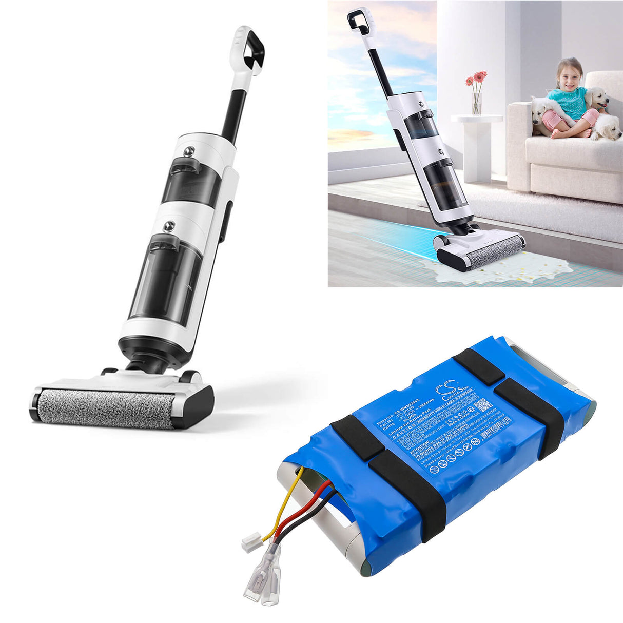 21.6V, Li-ion, 2500mAh, Vacuum battery fits Womow, Fc-2012d, S22 Tech, 54.0Wh Vacuum Cameron Sino Technology Limited