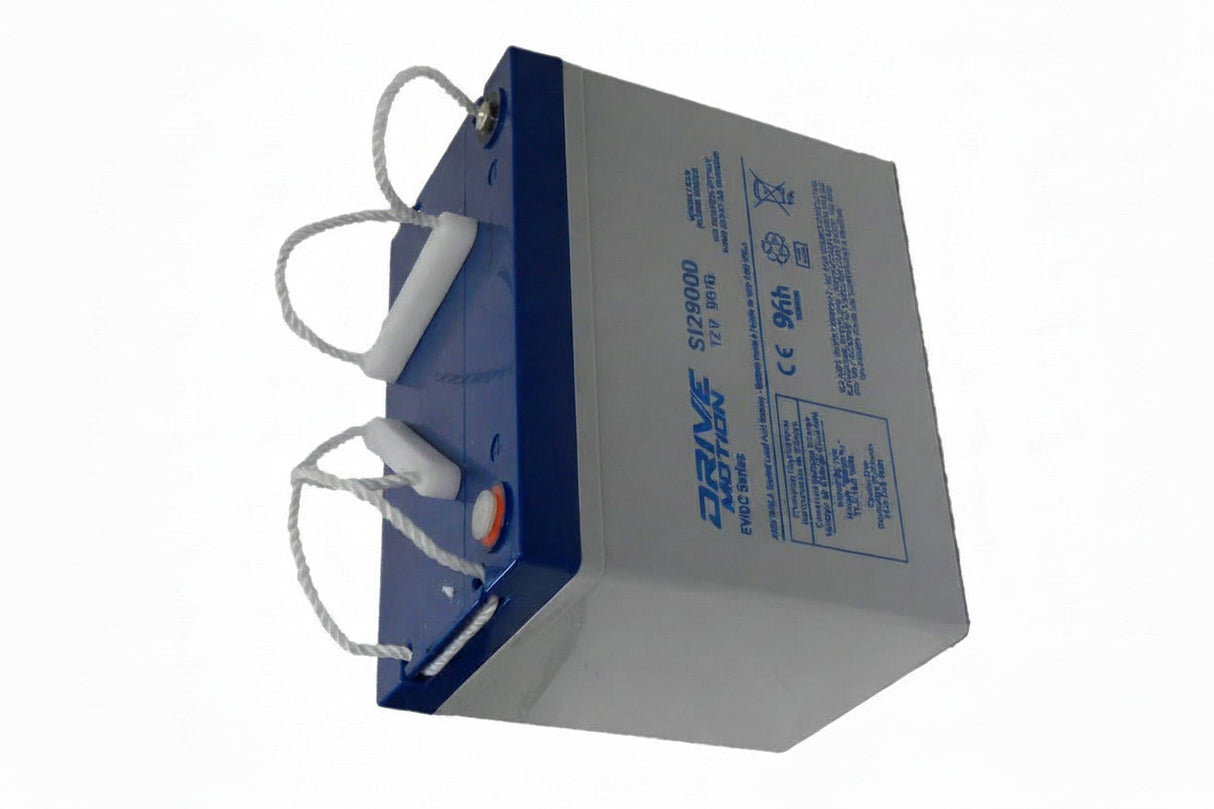 Drivemotion 12v 90ah Ev/dc Series Sealed Lead Acid Battery Sealed Lead Acid (Special) DriveMotion