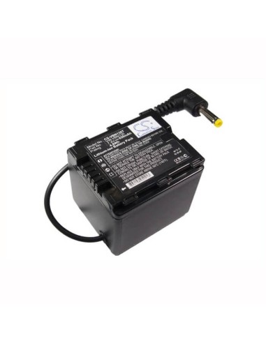 Battery for Panasonic Hdc-hs900, Hdc-sd800, Hdc-sd900, Hdc-tm900 7.4V, 650mAh - 4.81Wh