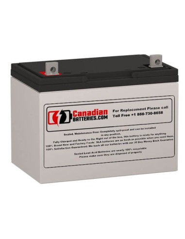 Battery for Alpha Technologies Ebp 1275-48b (032-045-xx) (12 To Make Set) UPS, 1 x 12V, 90Ah - 1080Wh