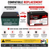 12V, 12Ah, replacement battery for Chilwee 6-dzm-12 with Nut & Bolt terminals Sealed Lead Acid (Special) CB Range