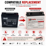 Sealake FM12140 Replacement Battery 12V 18Ah NB AGM Battery Sealed Lead Acid CB Generic