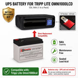 Tripp Lite OMNI1000LCD Replacement Battery 12V 9Ah UPS Batteries CB Range