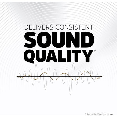 Size 675 Energizer Hearing Aid Battery Eight On A Card Coin Cell Batteries Energizer   