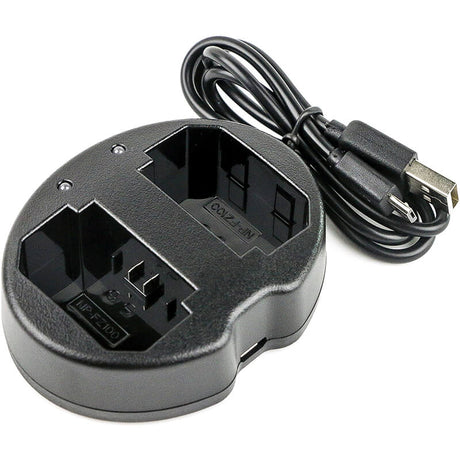 Sony Bc-qz1, Cs-fz100mc, Cs-fz100mx, Np-fz100 Camera Charger Camera Charger Cameron Sino Technology Limited (Camera)